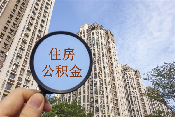 深圳公积金可以随时取出来吗（深圳住房公积金可以随时提取吗）